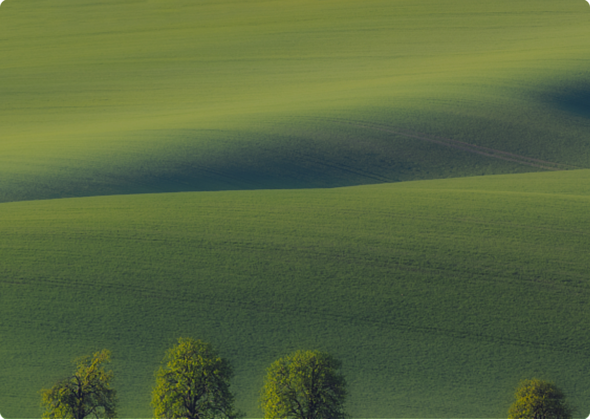 首页| PG电子游戏中国区官方网站